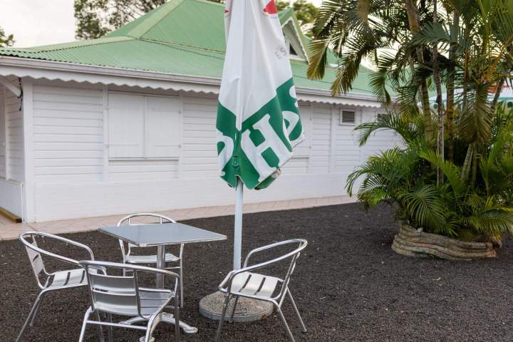 Plateau de langoustes grillées, servi avec des sauces, une salade fraîche, des frites et un verre de vin Martinique
